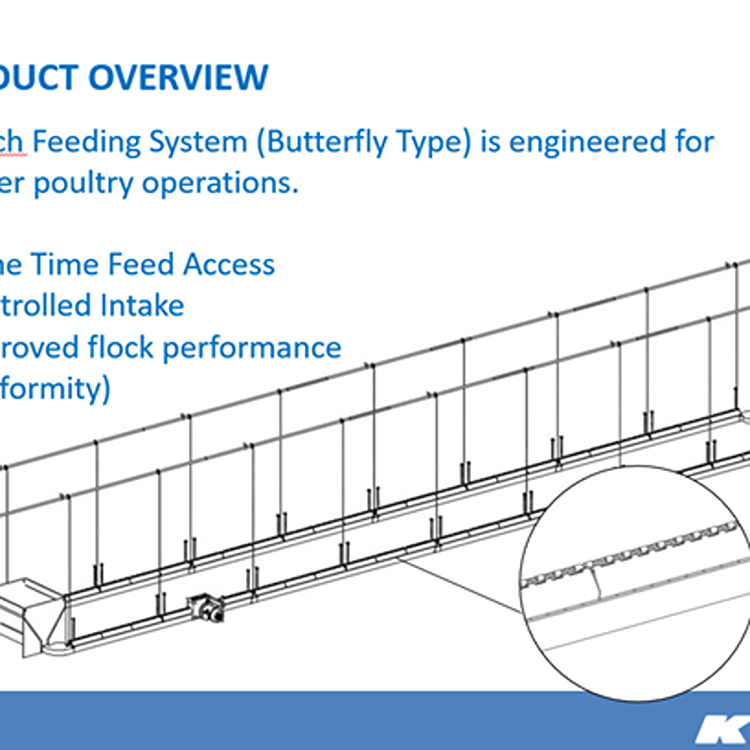 蝴蝶式同步餵料系統  butterfly covinch chain feeding system